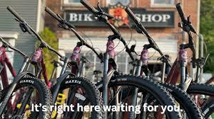 2Bici Bike Shop - cycling near Willow Springs